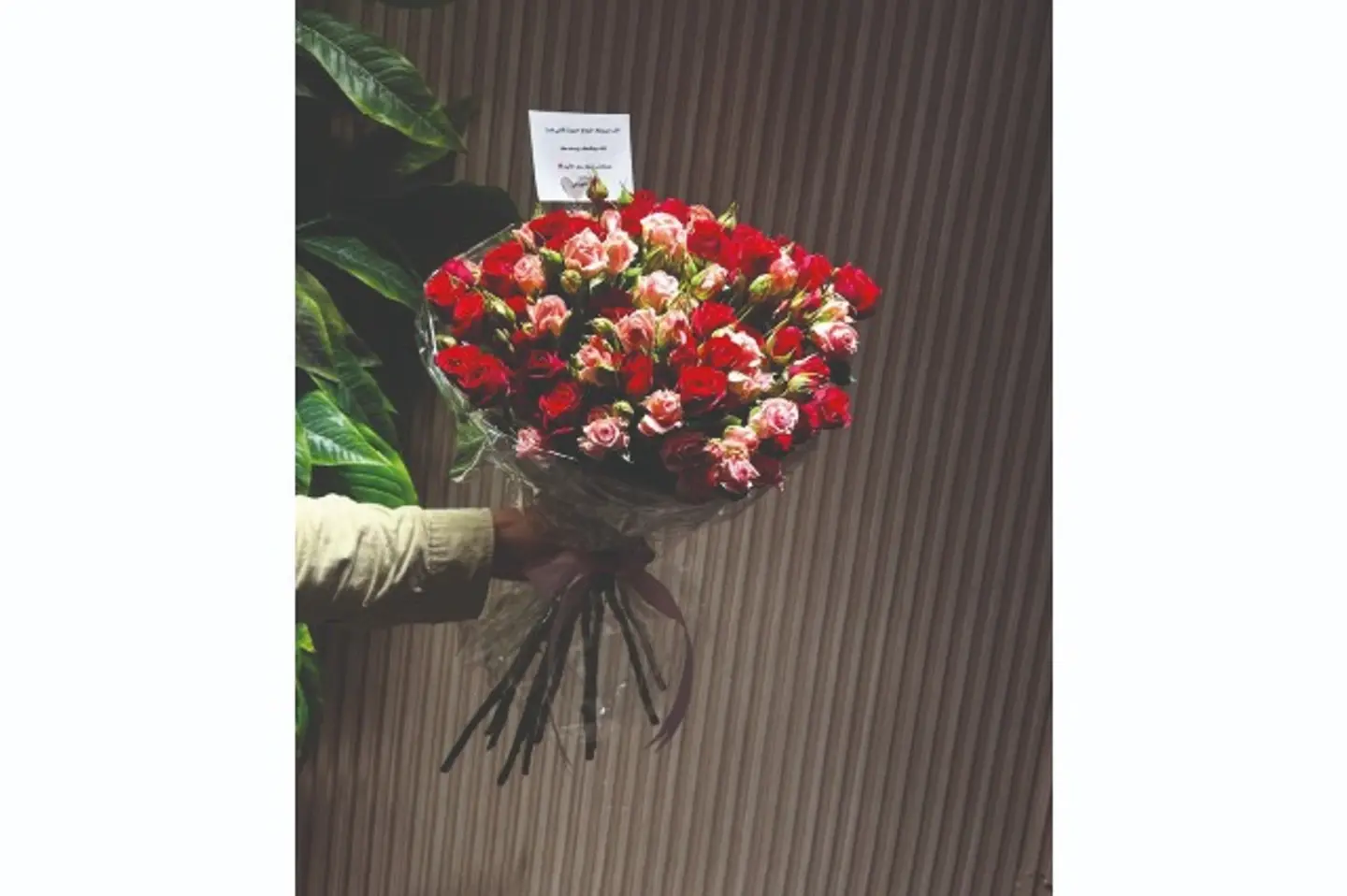 بوكيه السولفان