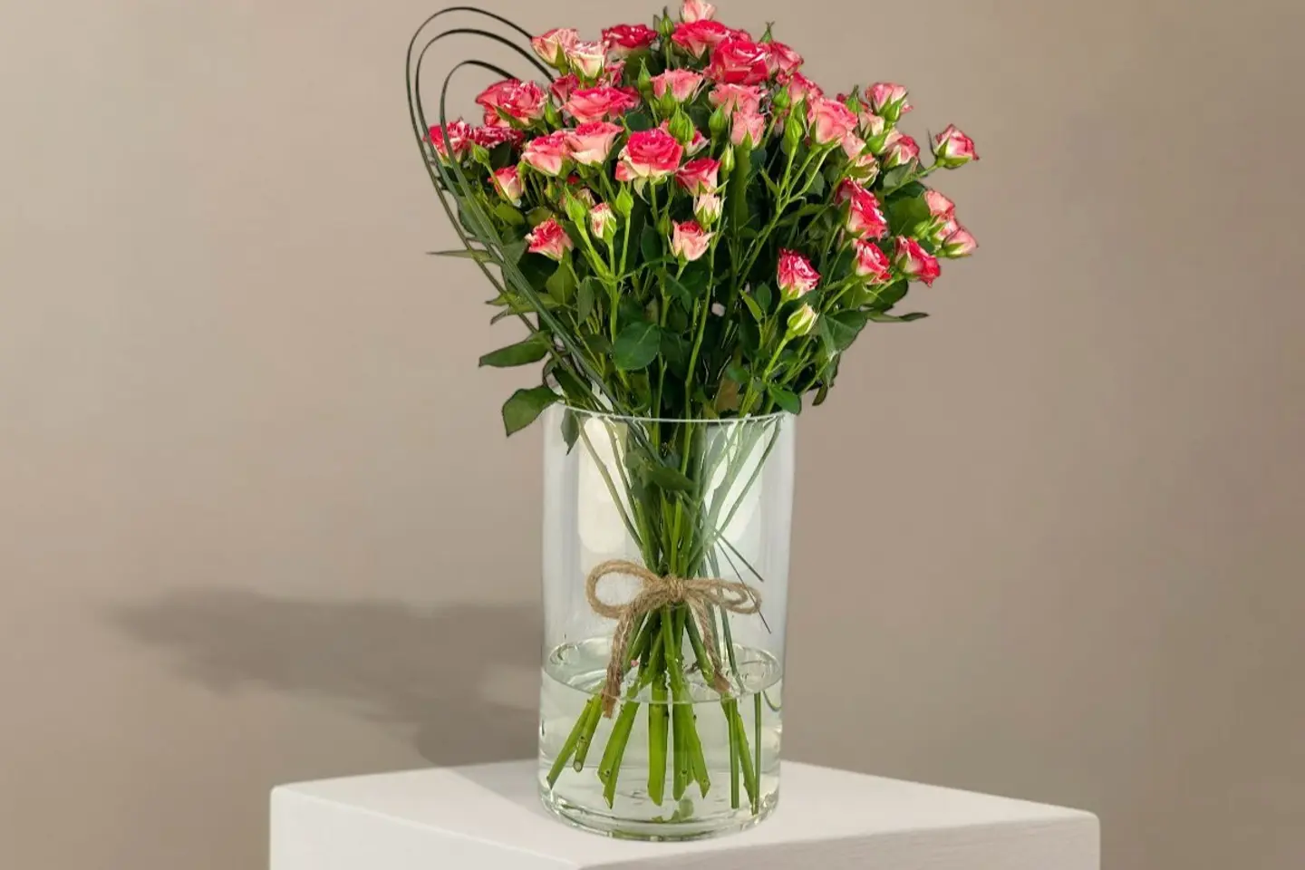 ڤيلورا