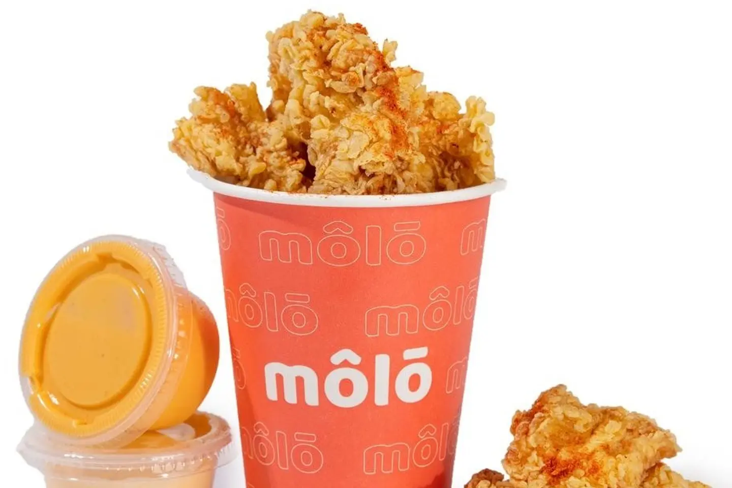 Chicken Bits