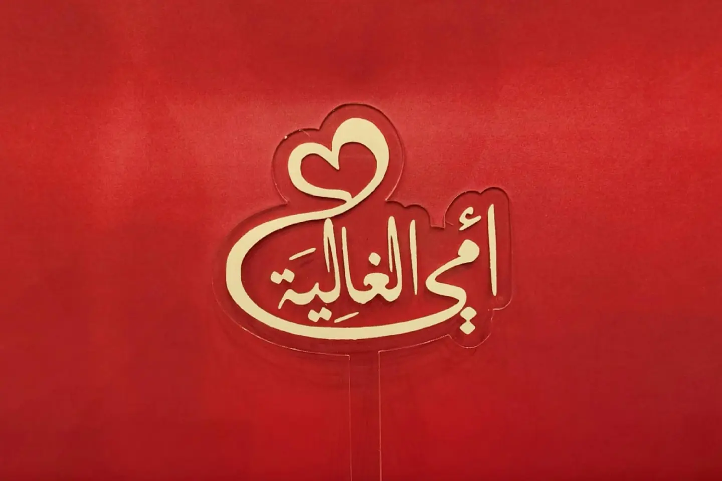 تغريسة يوم الام ٤