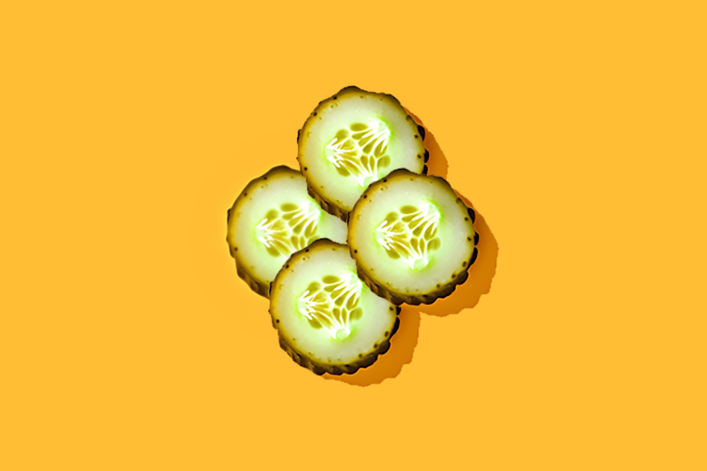 Pickled Cucumber