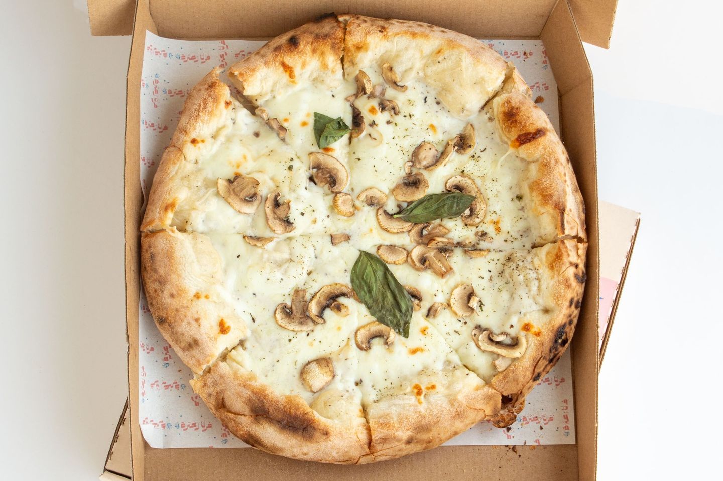 Napolita Truffle Pizza