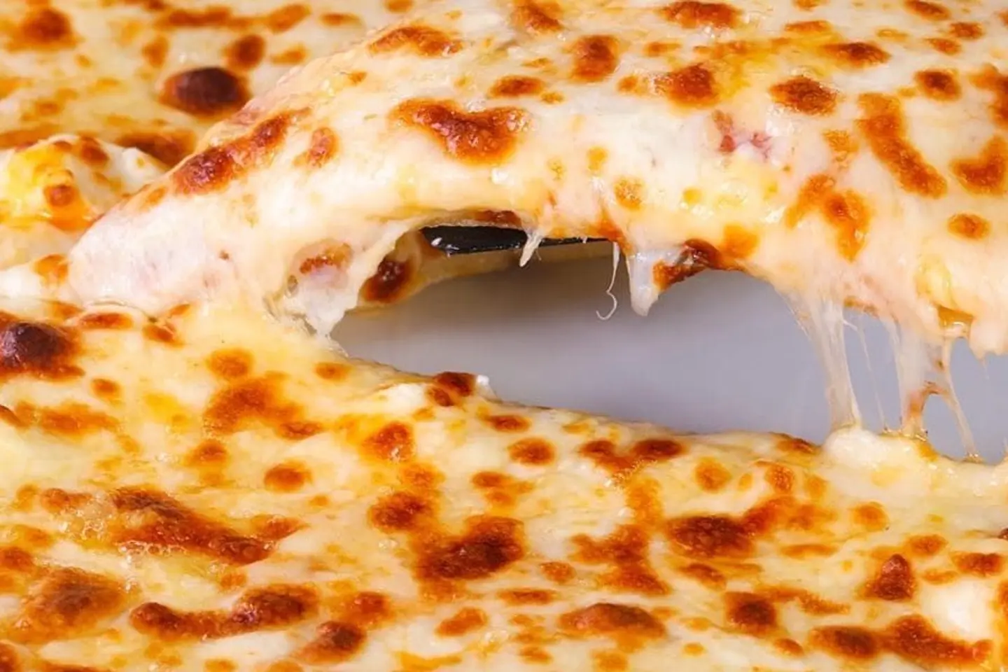 Medium Nest Of Bolbol Pizza