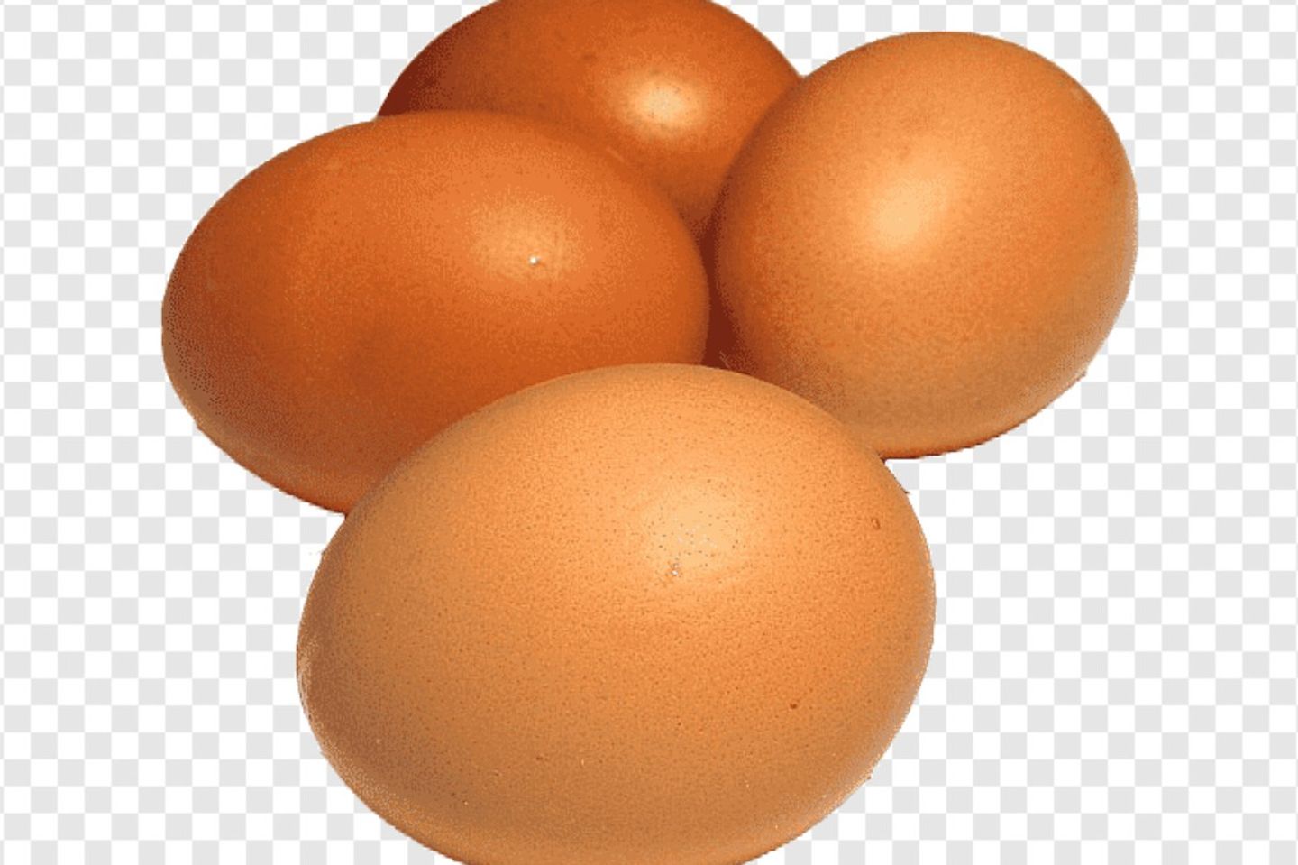 Egg