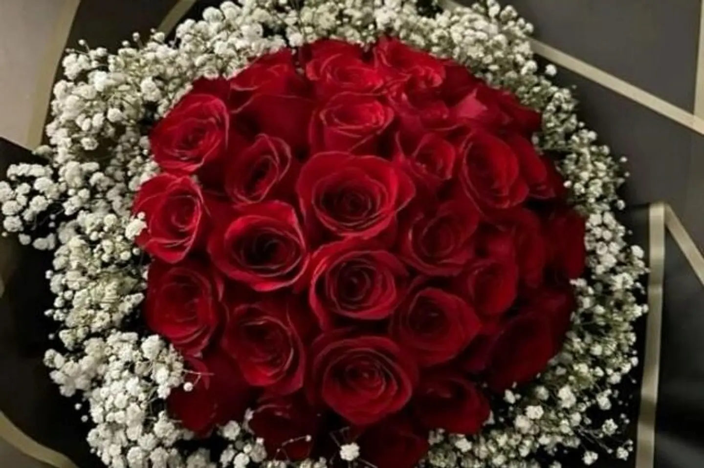 وردة منتصف الليل ٢٥