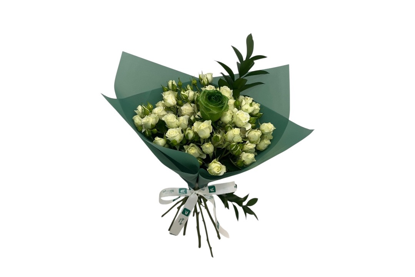 باقة الطبيعة