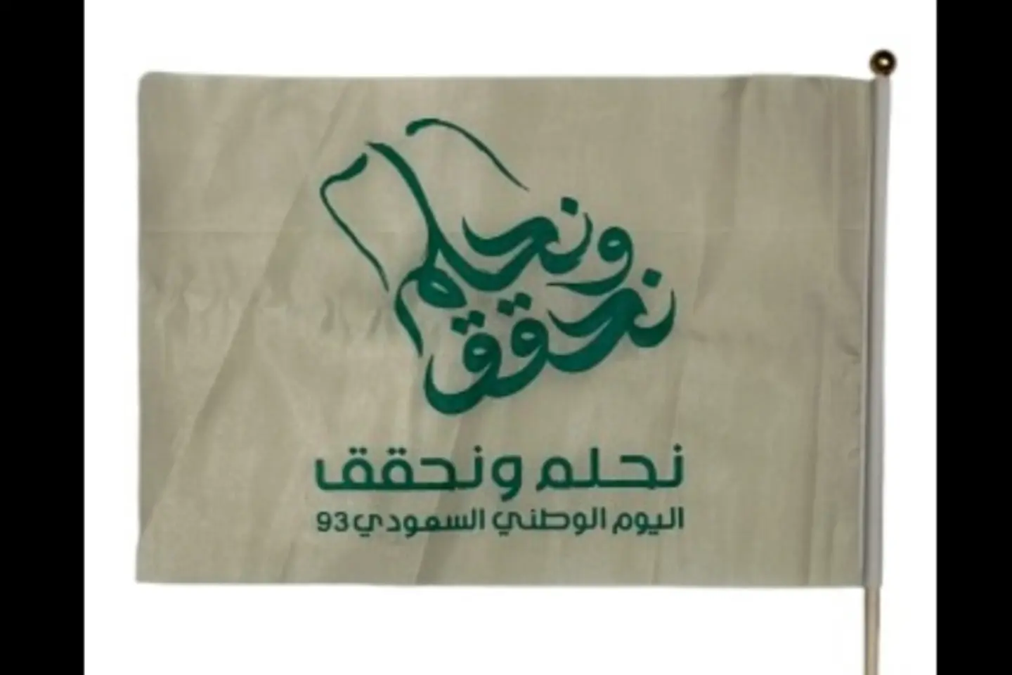 علم اليوم الوطني ٣