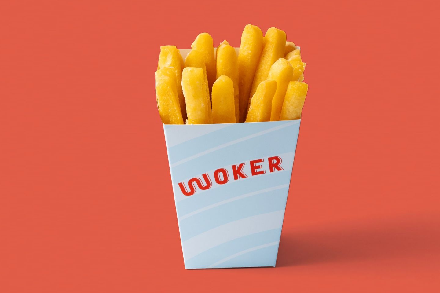 Fries Noodles