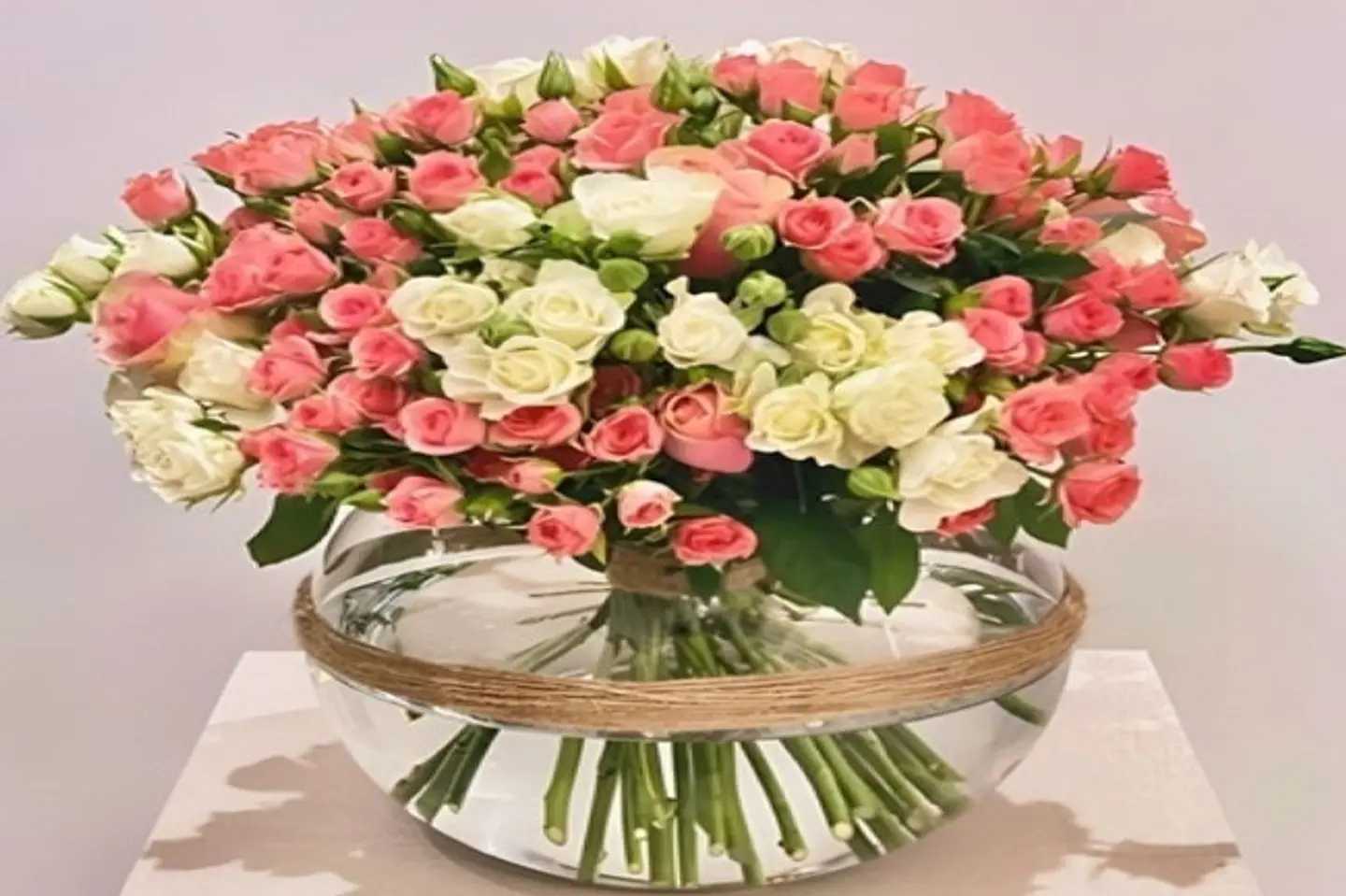 فازة ورد بود