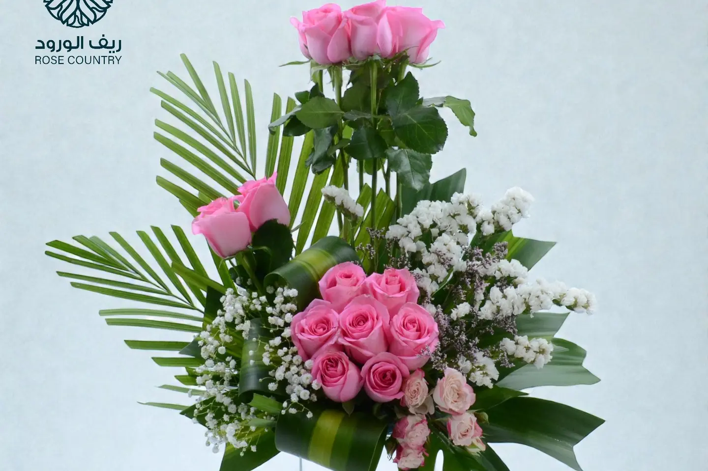 فازة تروبيكال