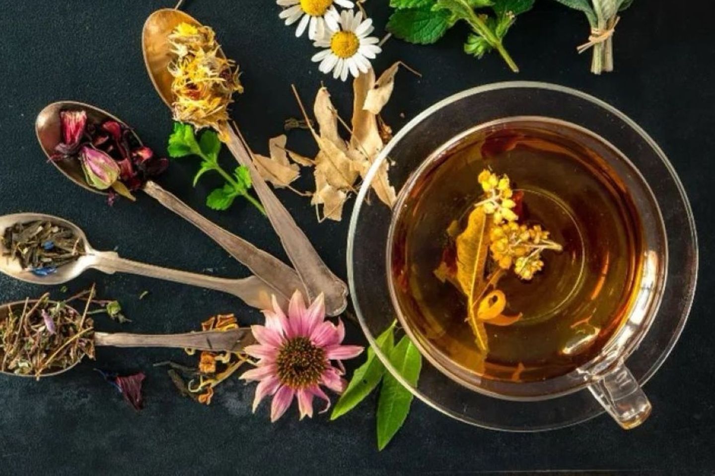 Herbal Tea