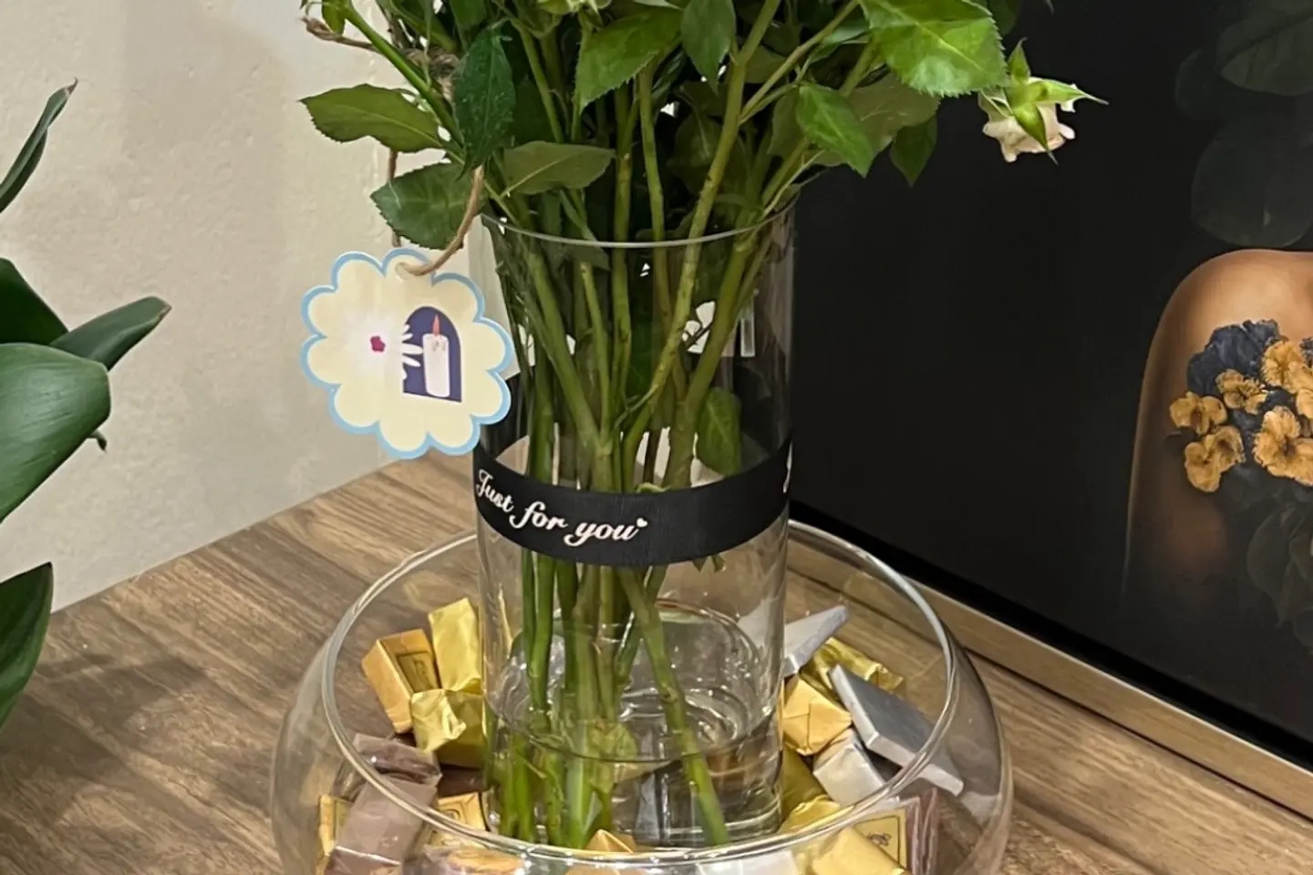 فازه شوكلت ١