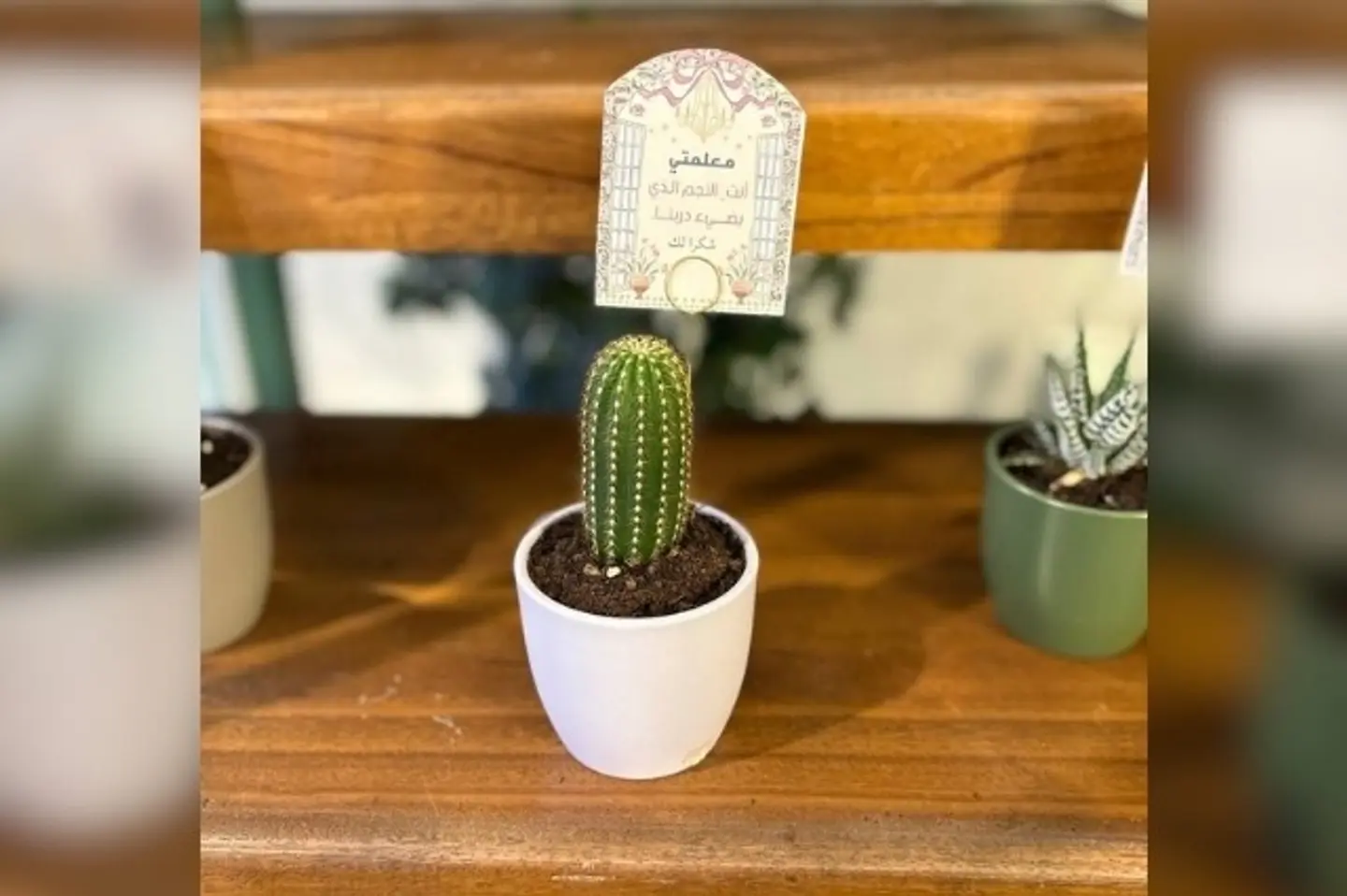 نبتة يوم المعلم ٢