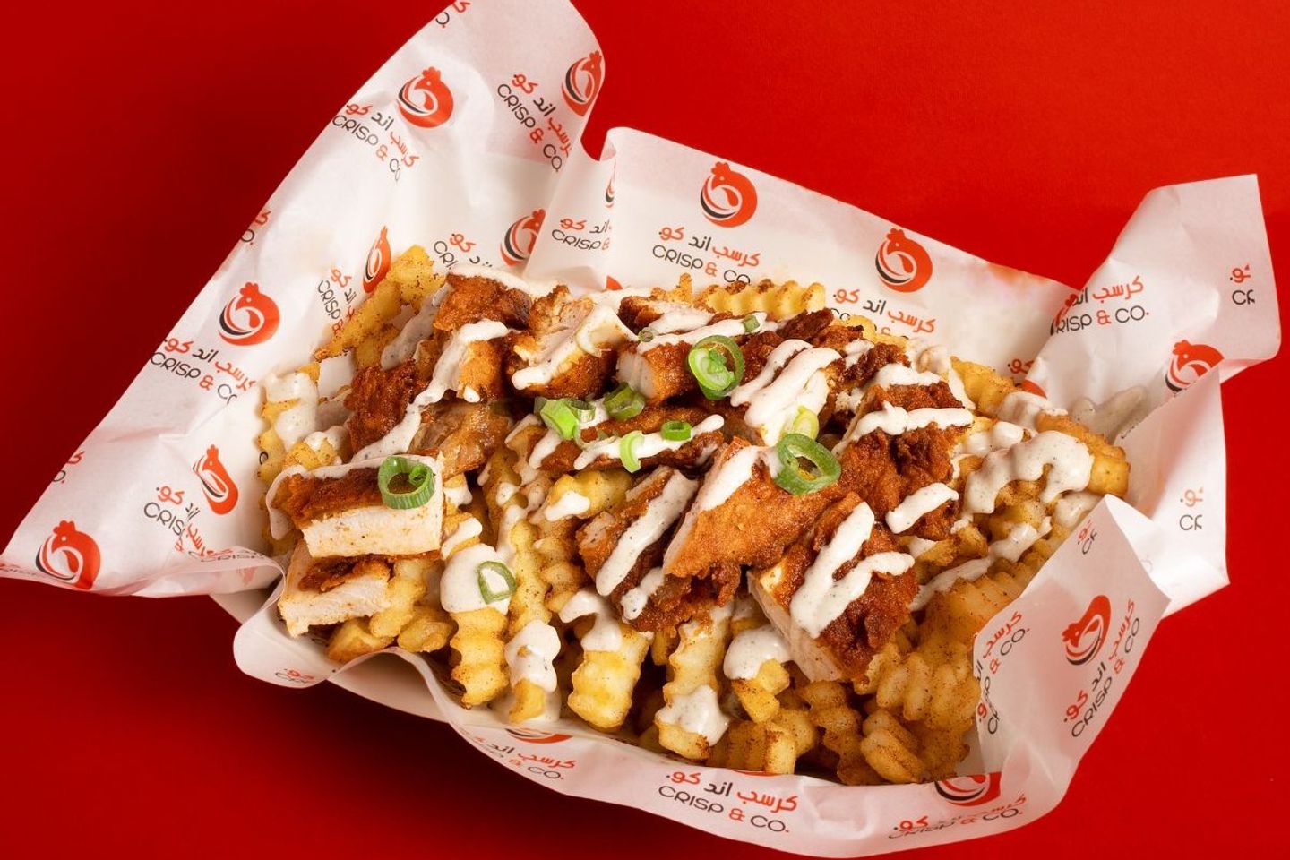 Nashville Loaded Fries