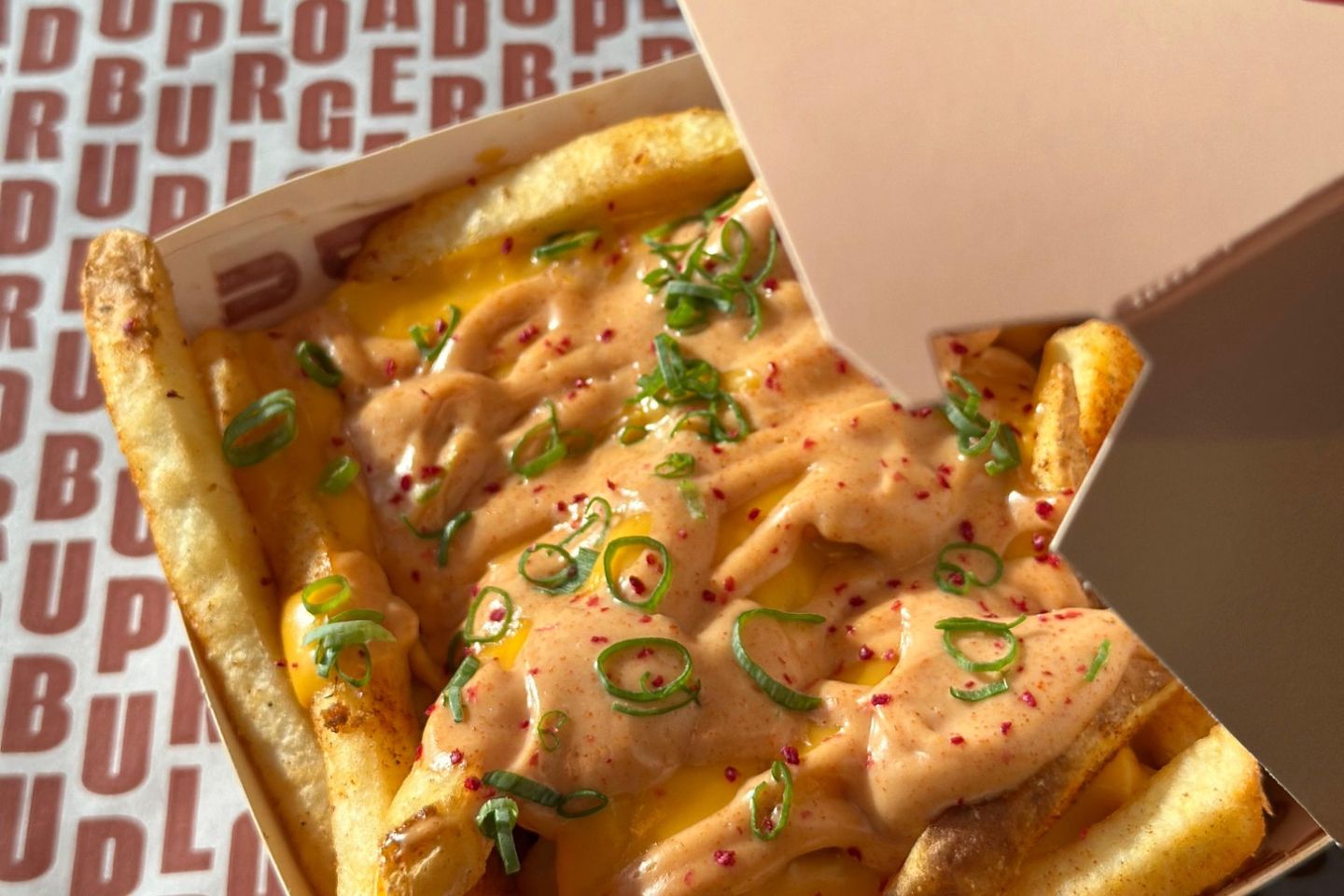 Cheese Fries