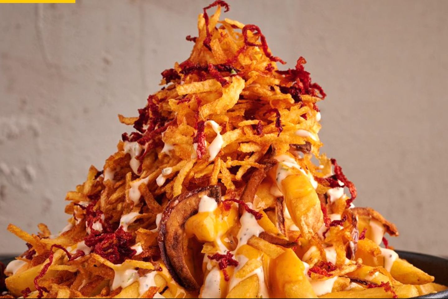 Texas Fries
