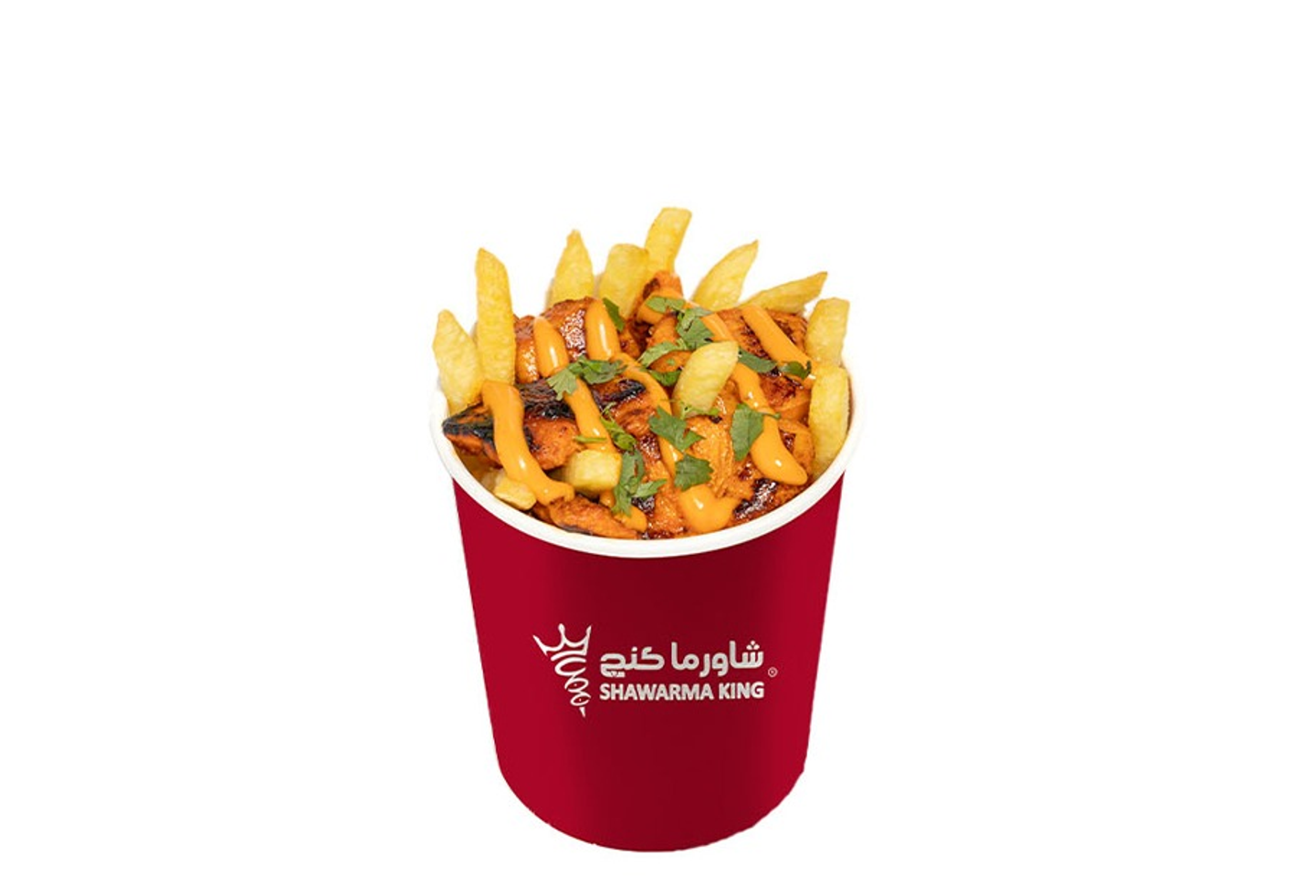Tikka Fries
