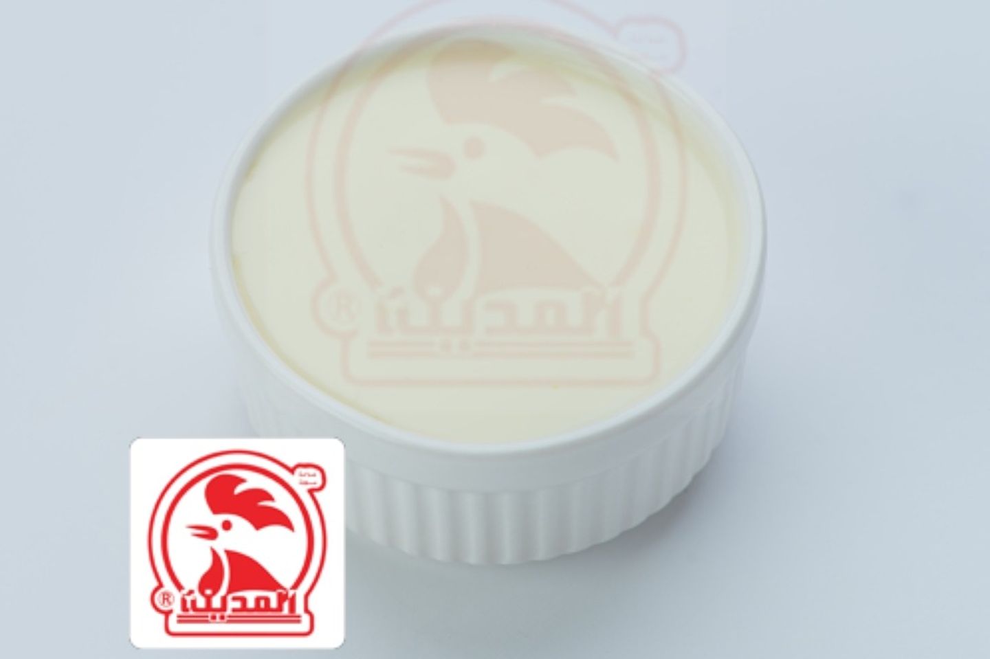 Garlic Sauce