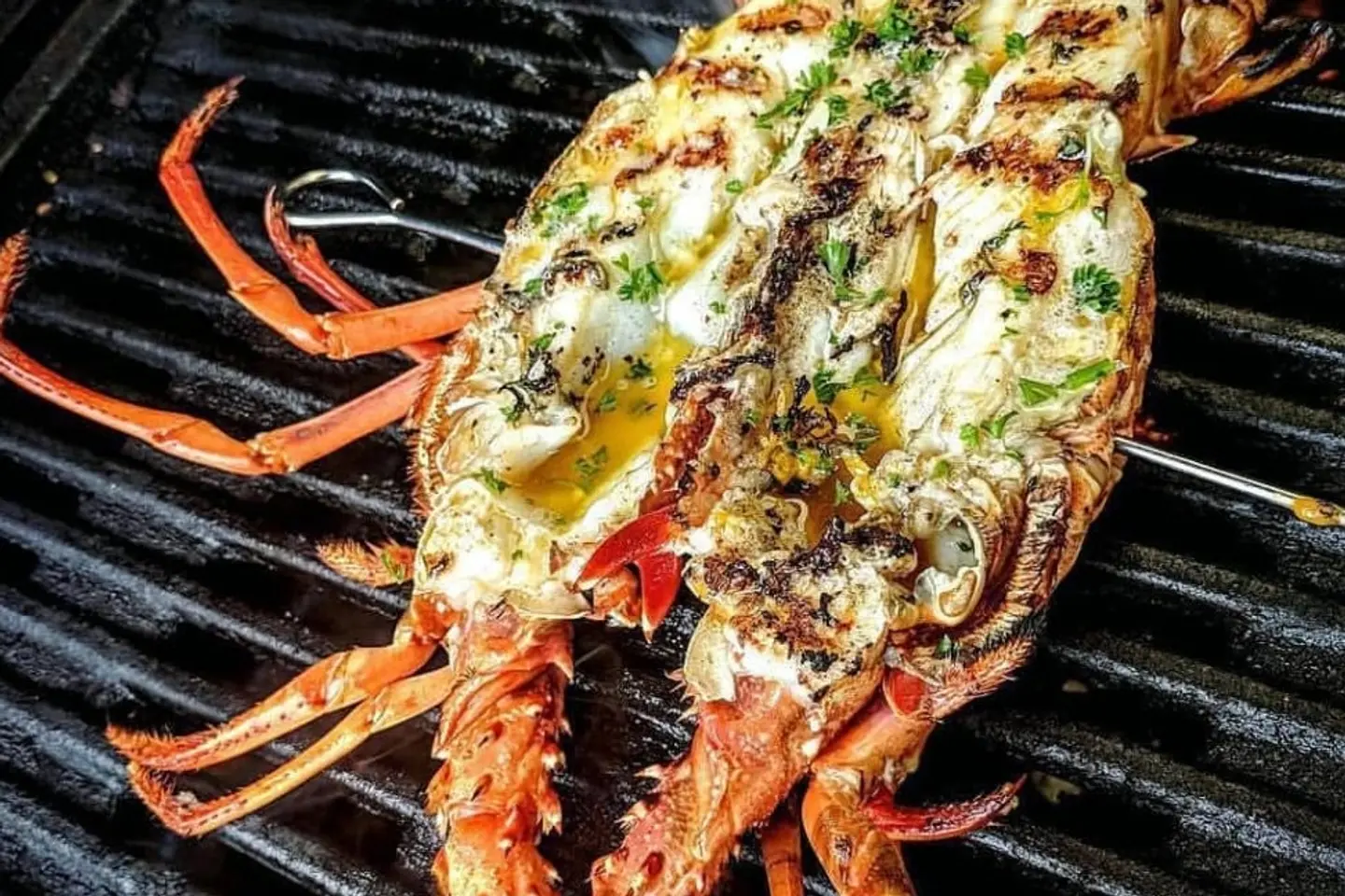Grilled Lobster With Alexandrian Mixture