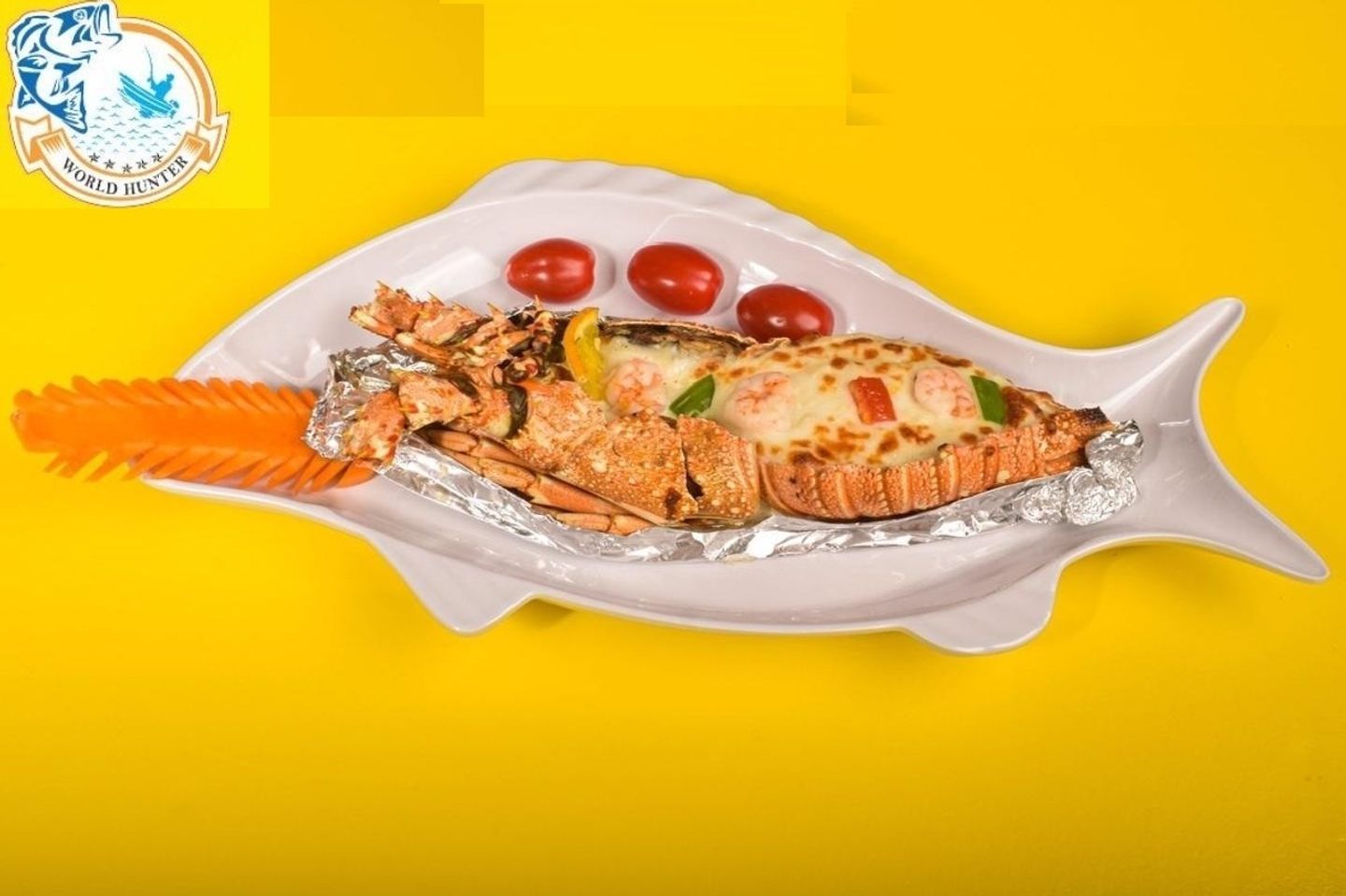 استاكوزا صوص هولانديز