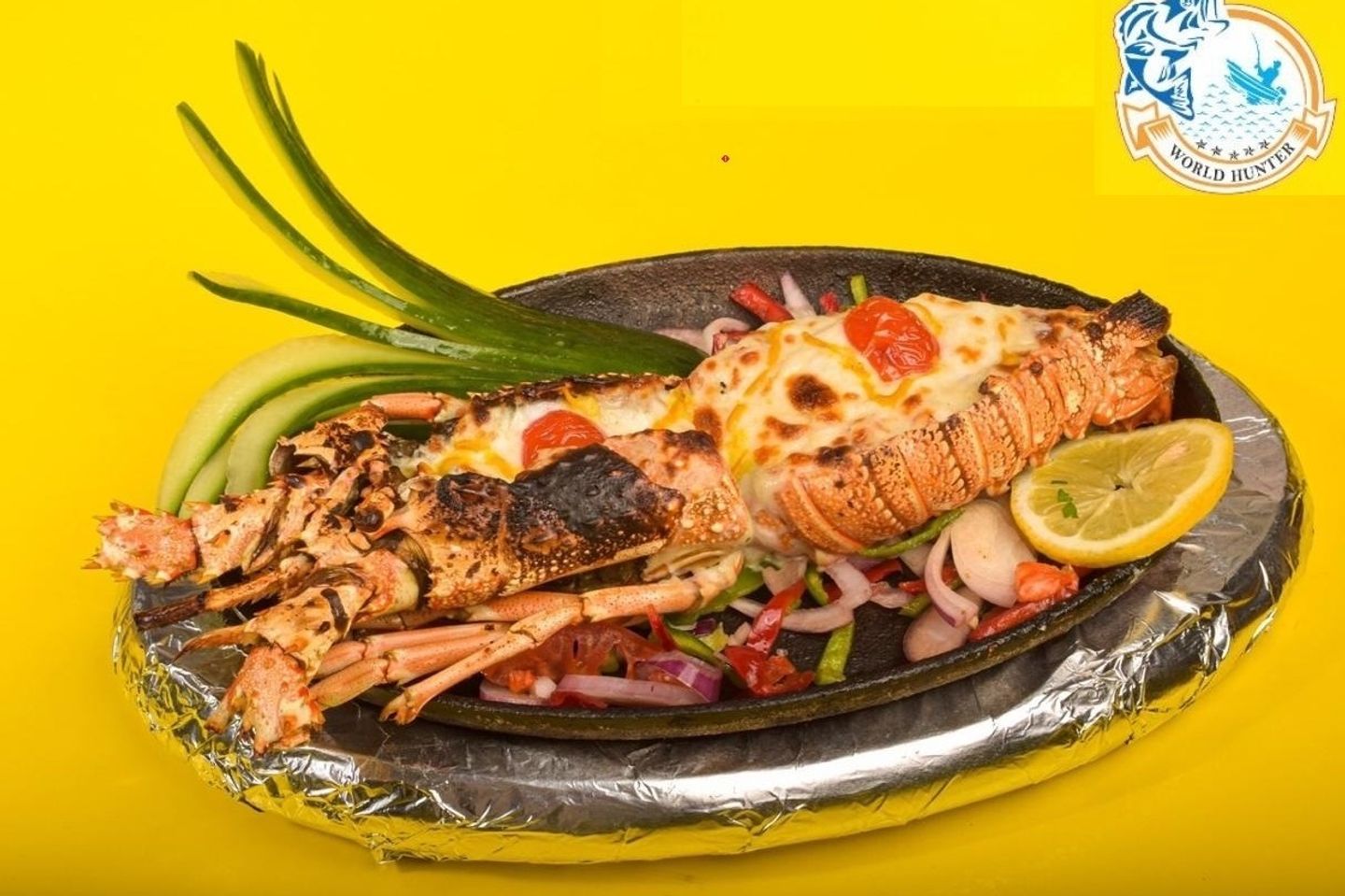 استاكوزا صوص ثرمادور