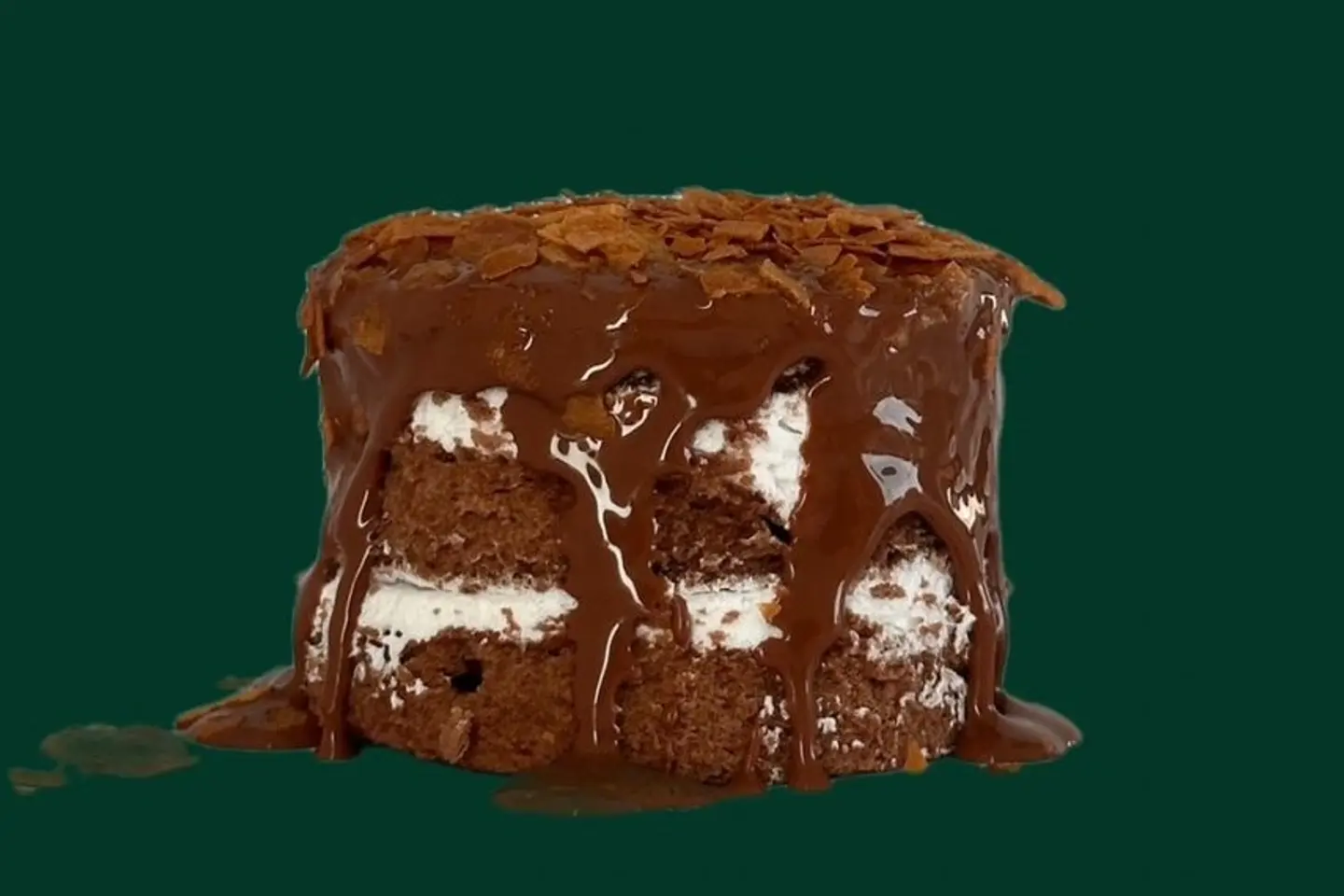 Chocolate Jara Cake