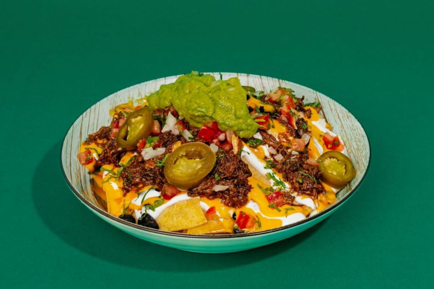 Birria Nachos