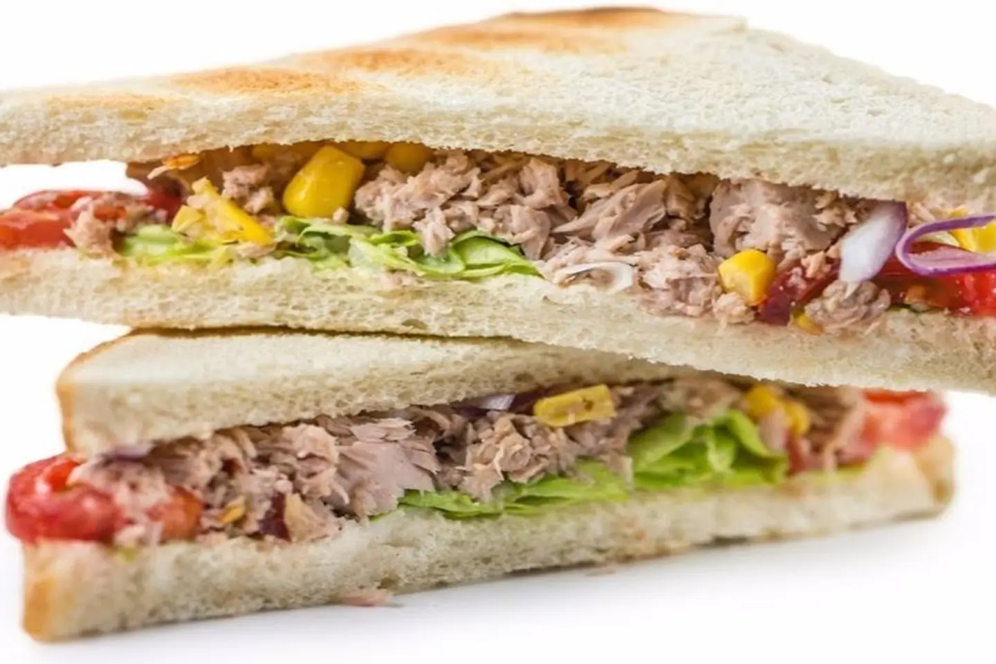 Tuna Sandwich