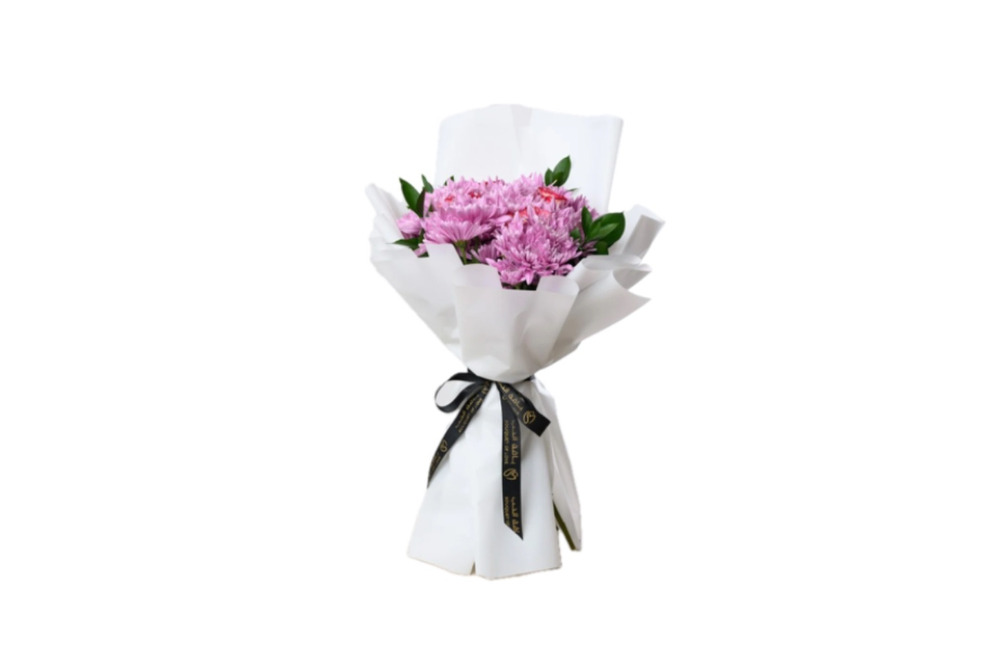 Loly Lody Pachage 11