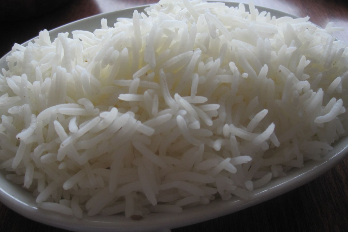 رز عادي