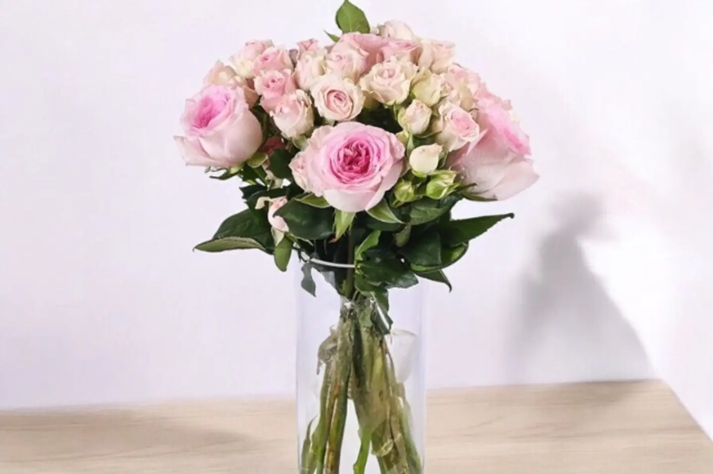 فازه النقاء