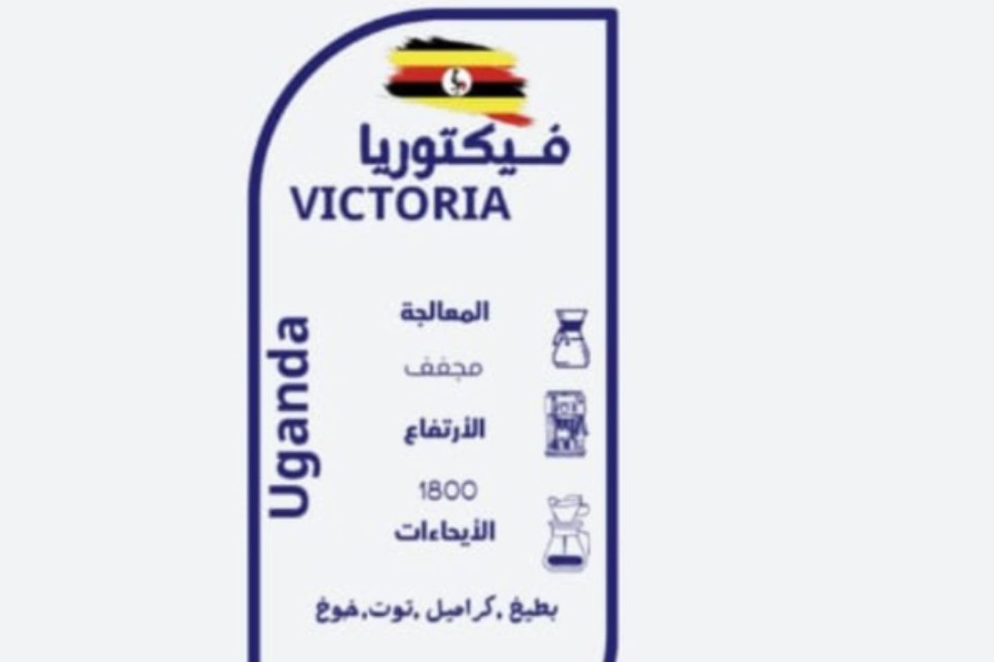 فيكتوريا اغندا