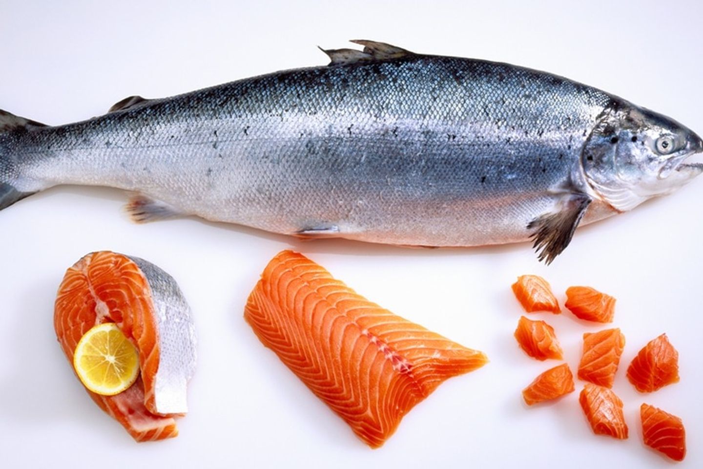Salmon - Kilo