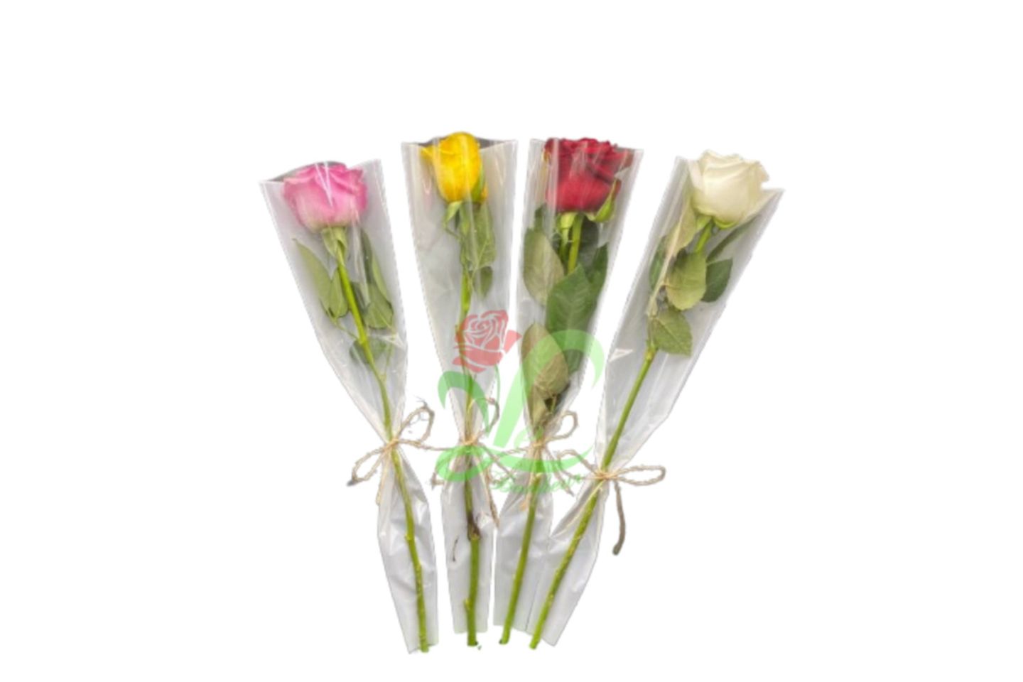 Rose With Wrapping - Red