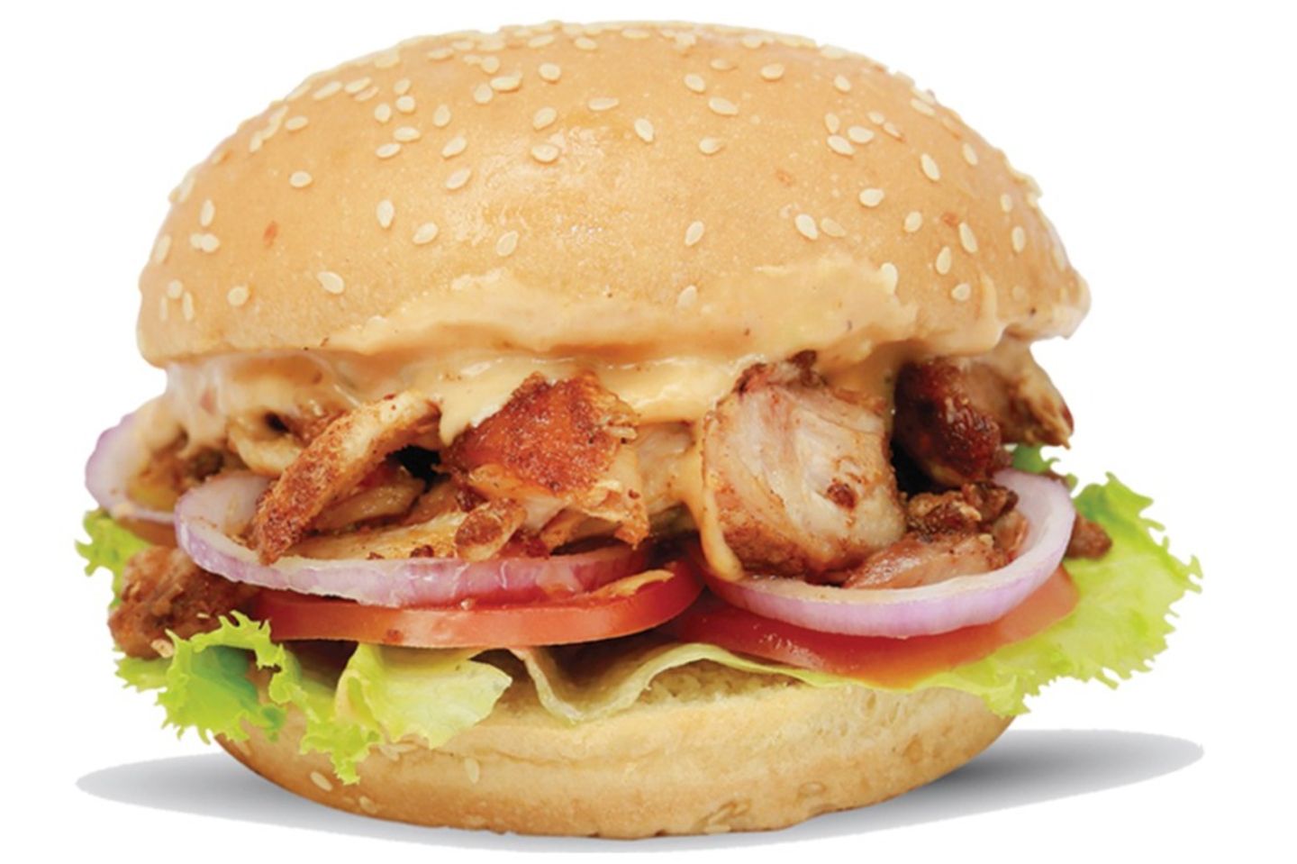 Shawarma Burger