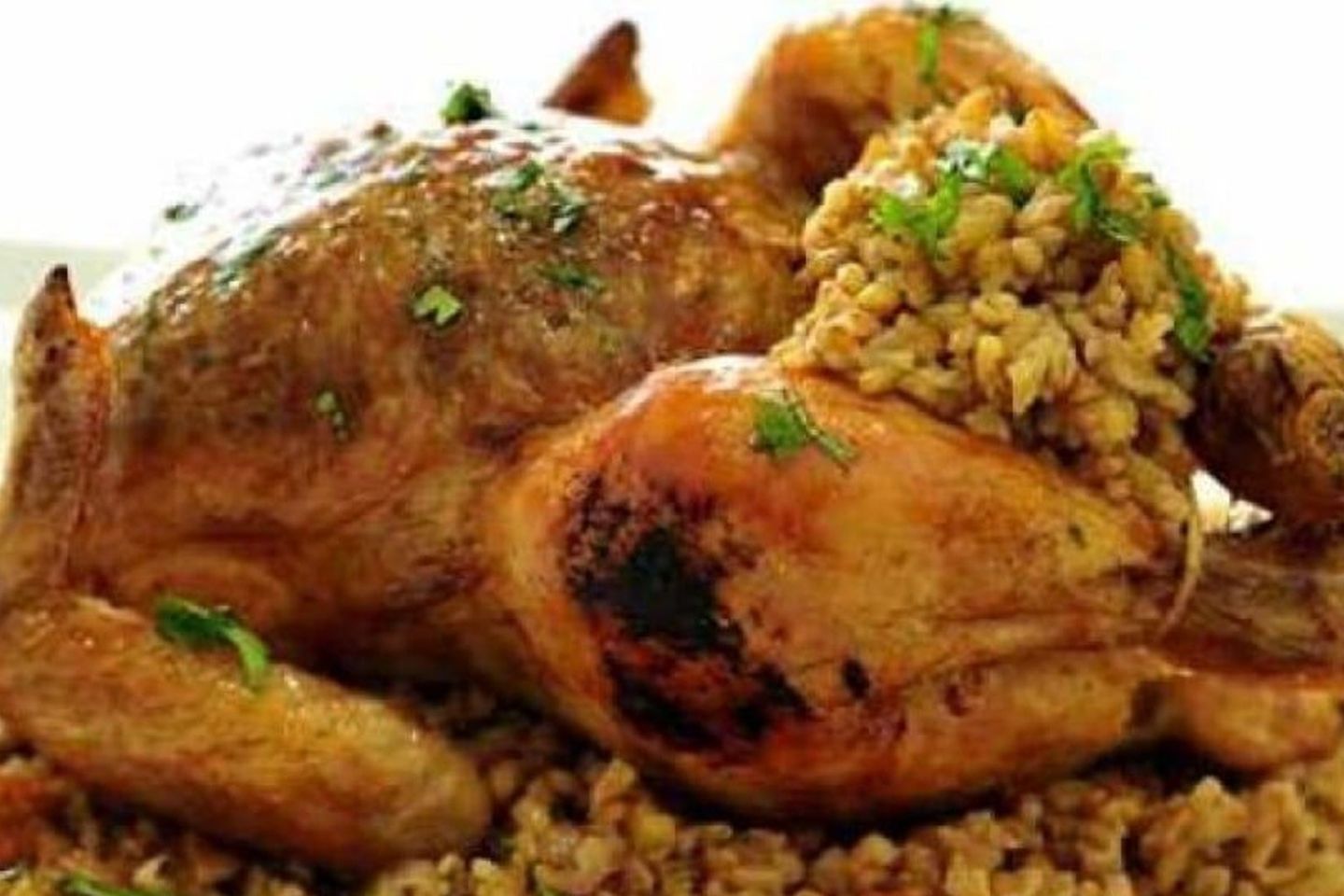وجبة ديك