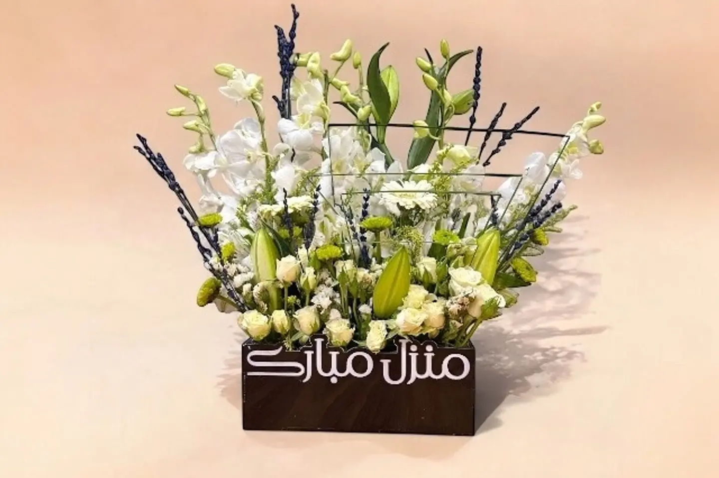 منزل جديد