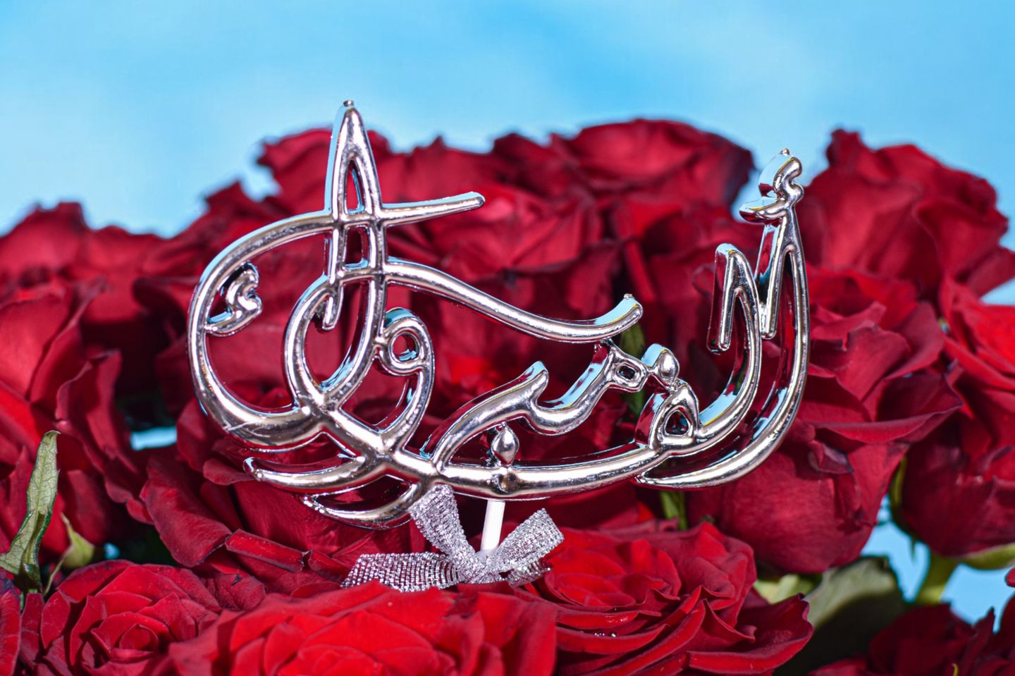 تغريسة ألف مبروك فضي ٠٠٦٦