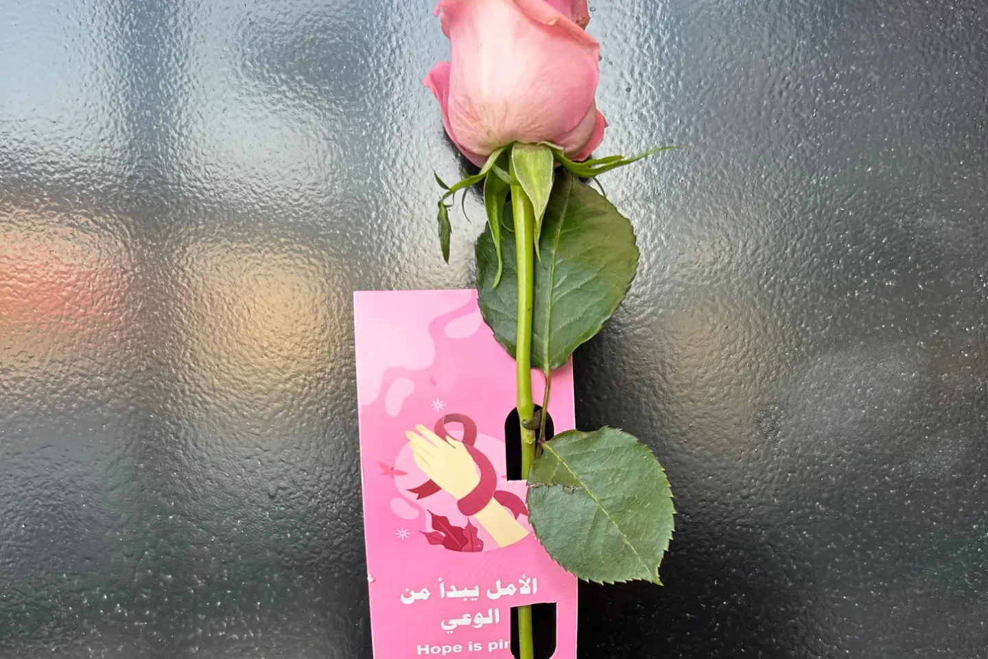 Breast Cancer Awareness Distributions