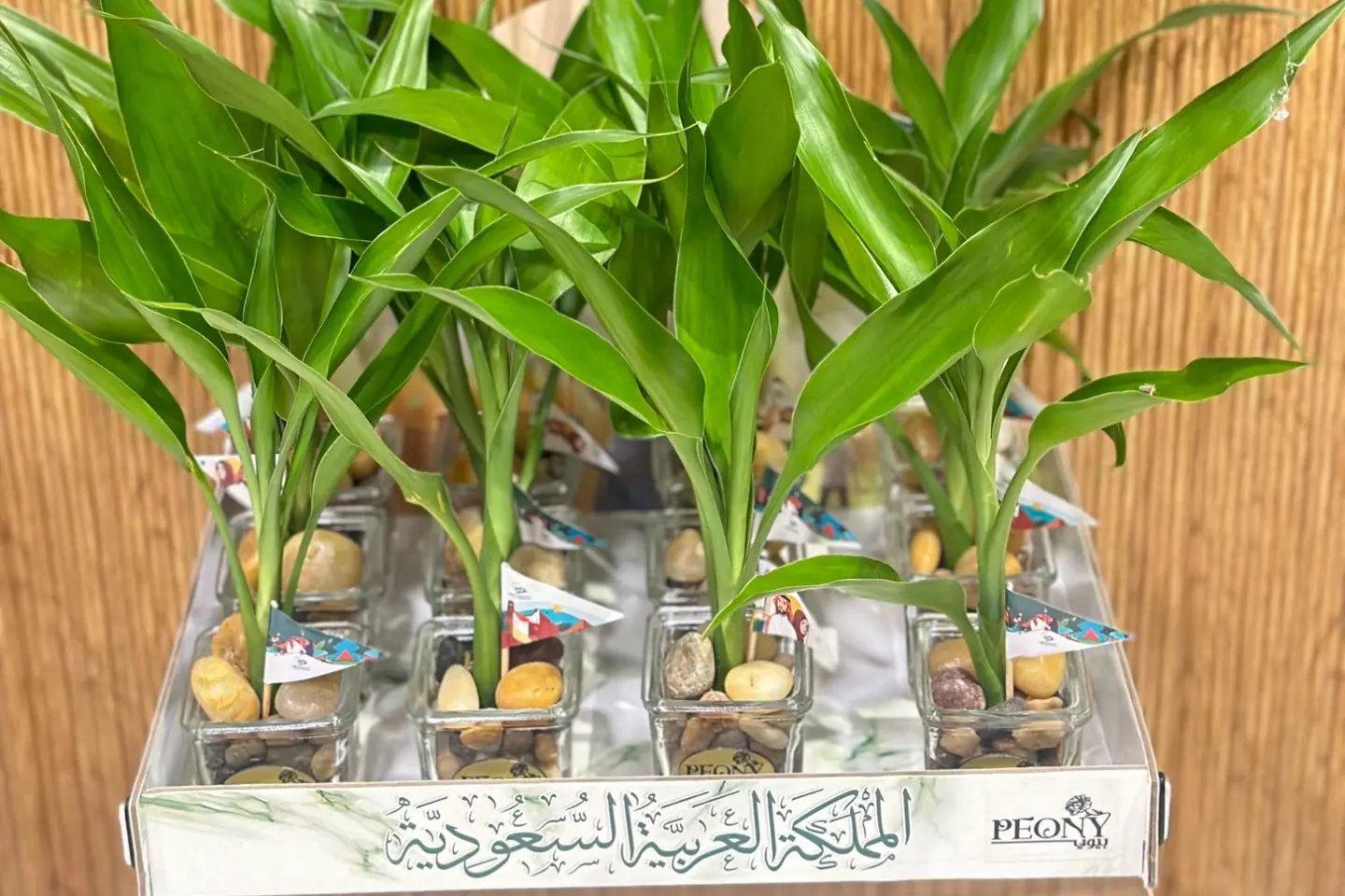 Bamboo National Day Distribution Tray