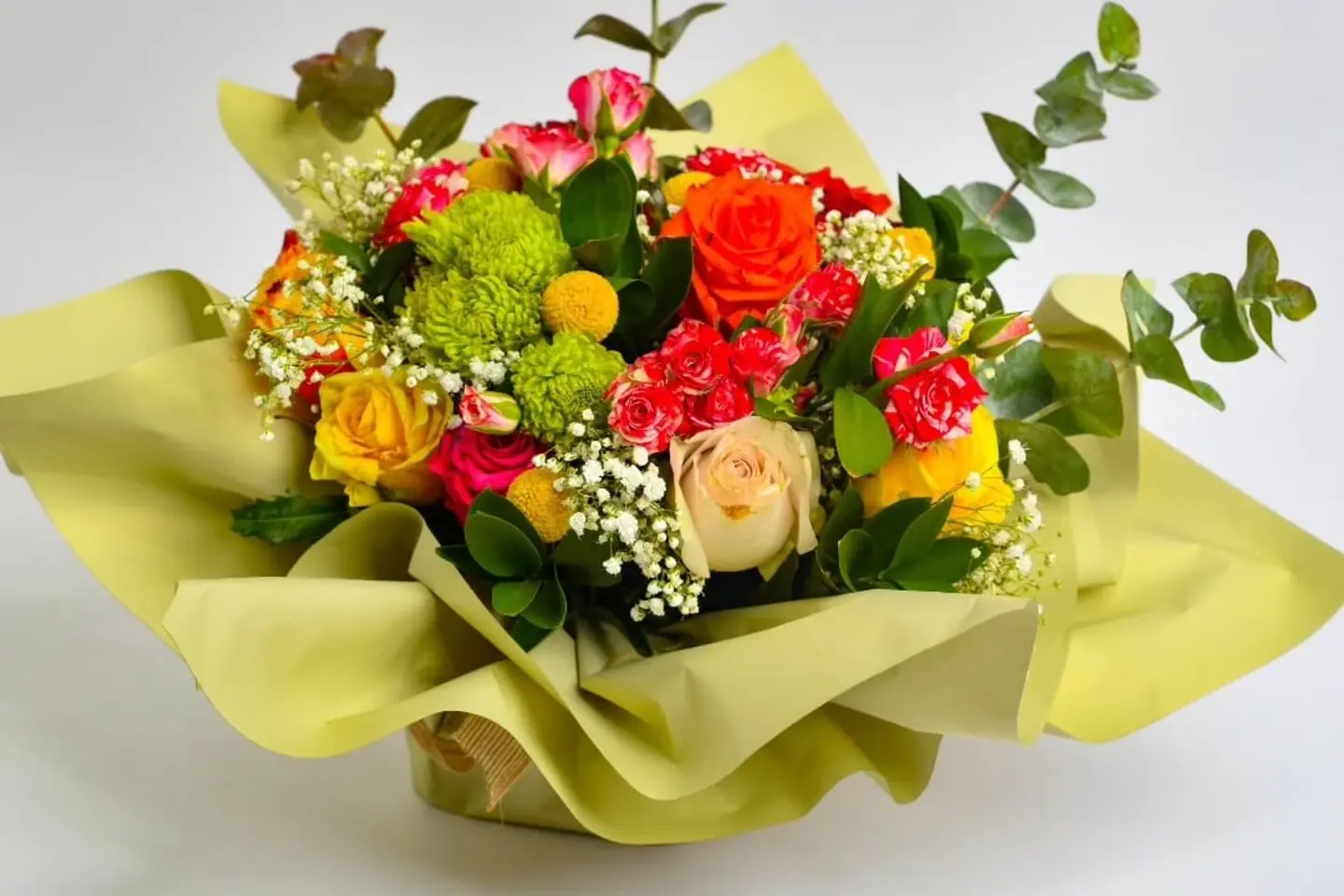 وردة و شتلة ٠٠٠٠٥