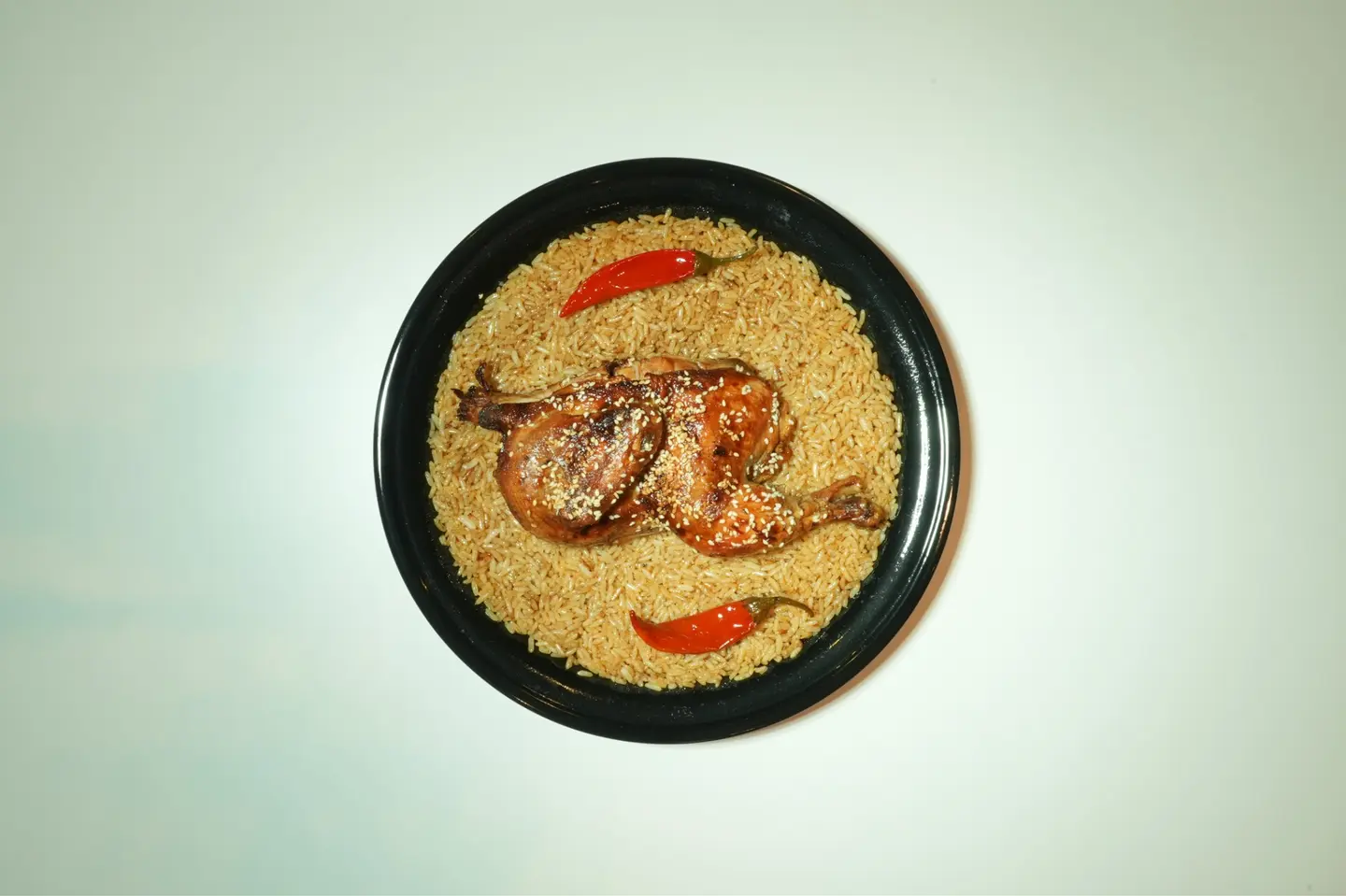 دجاج محمر