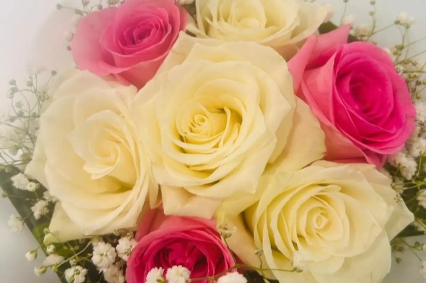 باستيل الوردي والأبيض سبعة