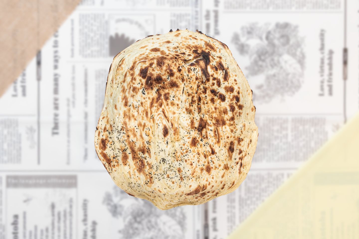 ملوح عادي