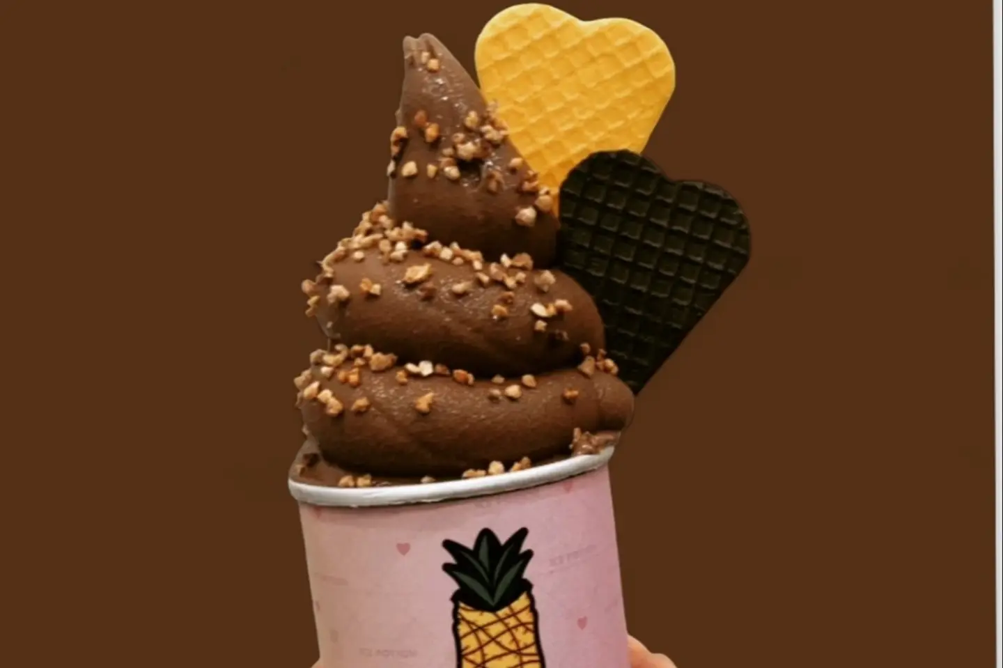 Ice Cream Chocolate
