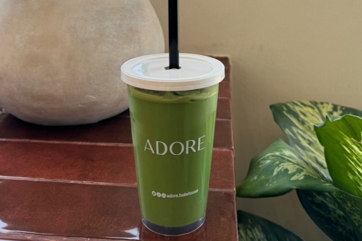 Iced Matcha Latte