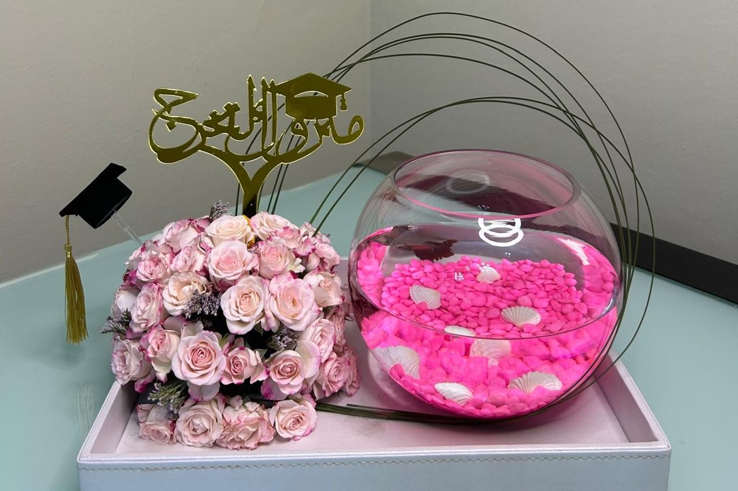 هدية التخرج سمك الفايتر