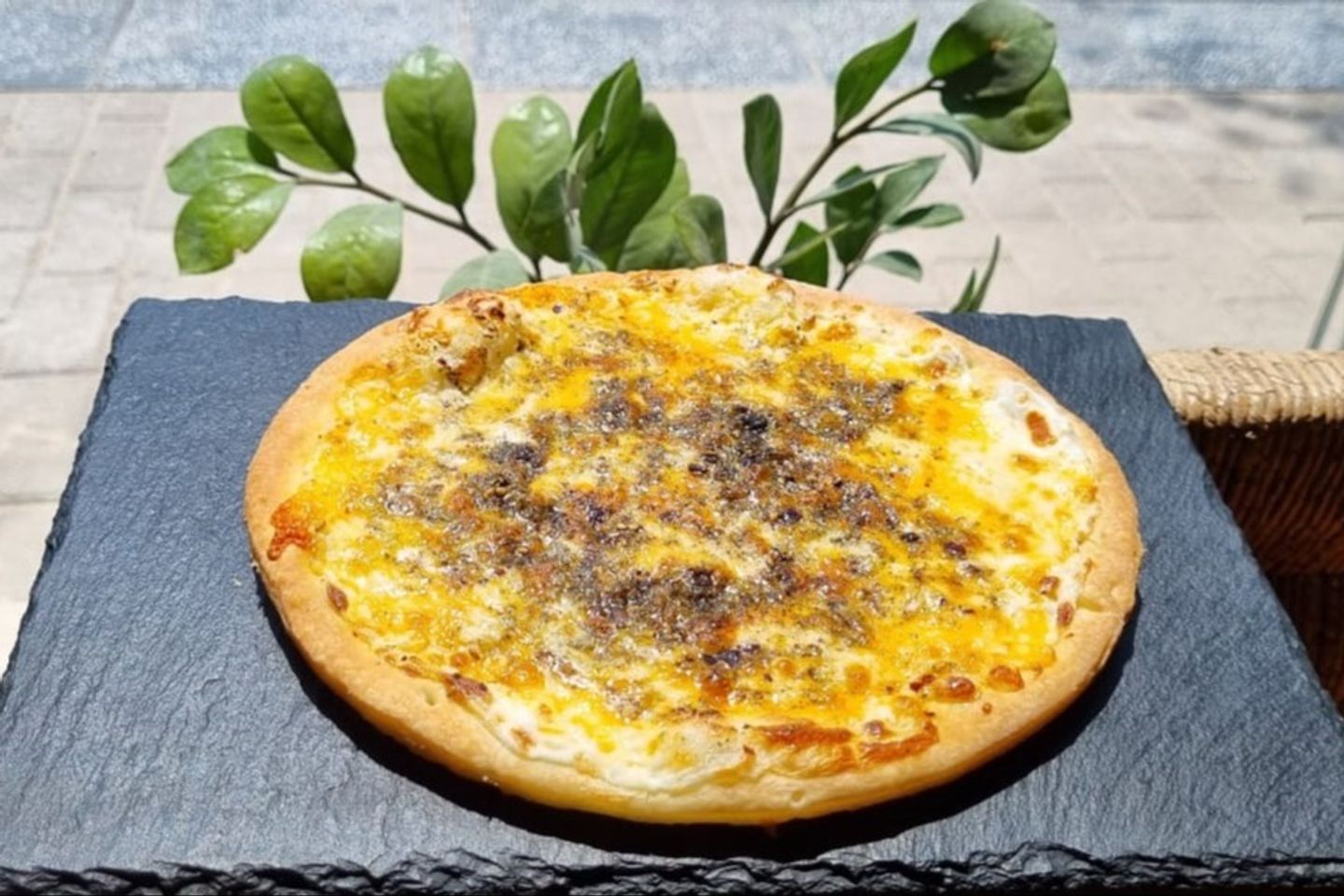 منقوشة لبنه فاخرة و تشدر و زعتر