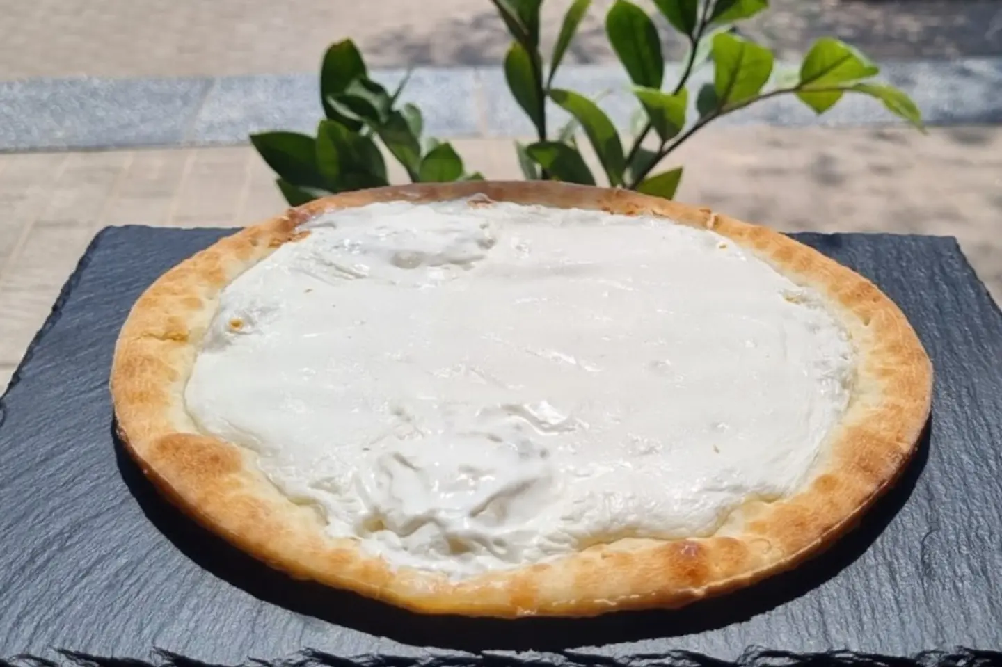 منقوشة لبنه فاخرة