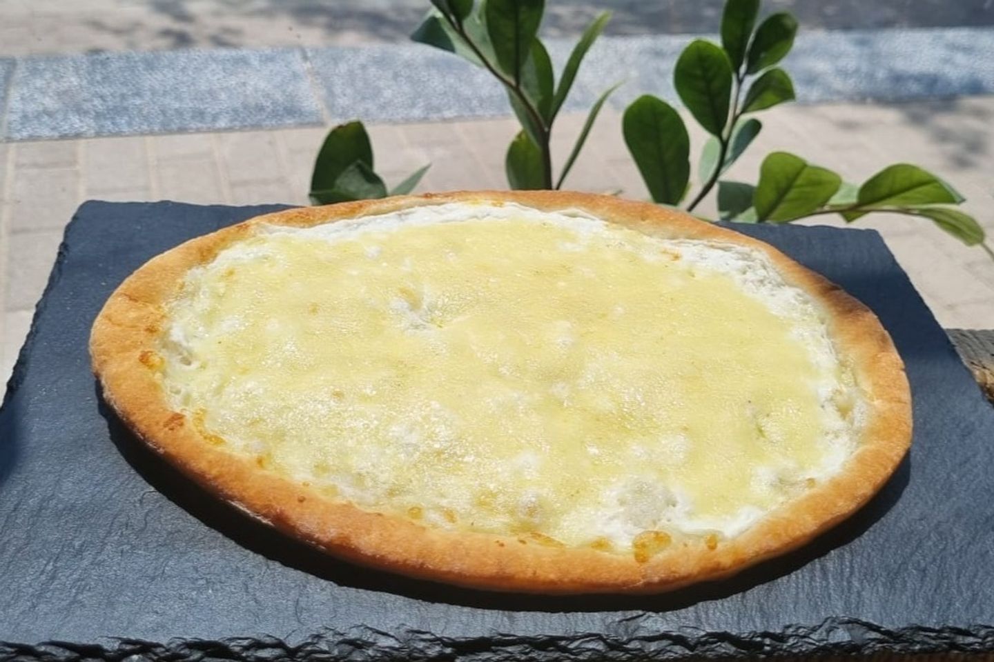 منقوشة زعتر ولبنة فاخرة